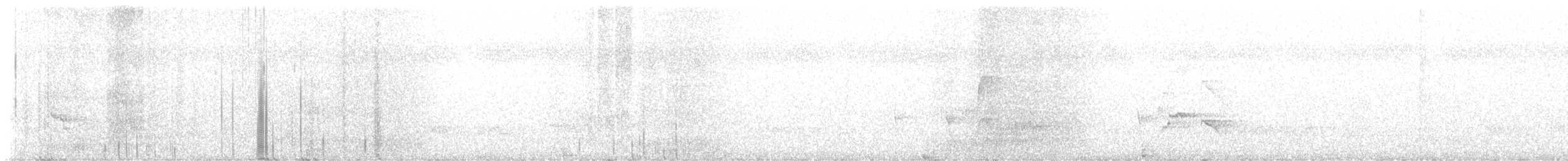 Serra do Mar Tyrant-Manakin - ML643717239