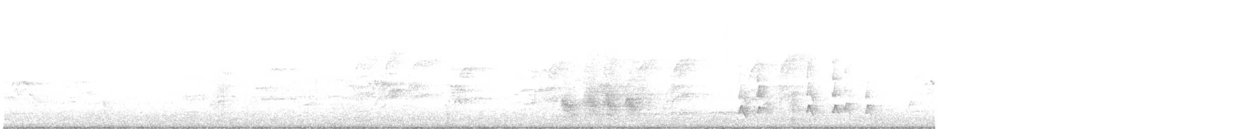 šírozobec východní - ML643717507