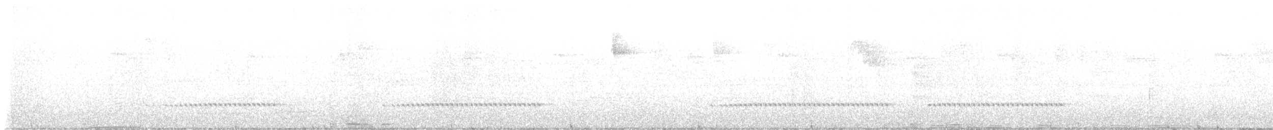 Blackish Tapaculo - ML643717538