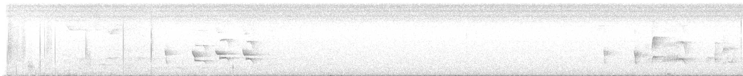 Serra do Mar Tyrant-Manakin - ML643717956