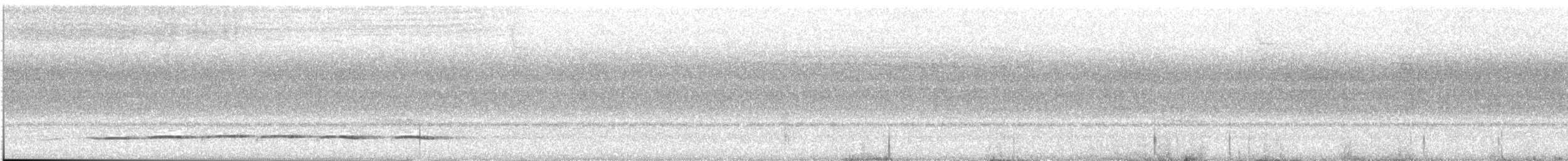 Grallaire à lunettes - ML643719265