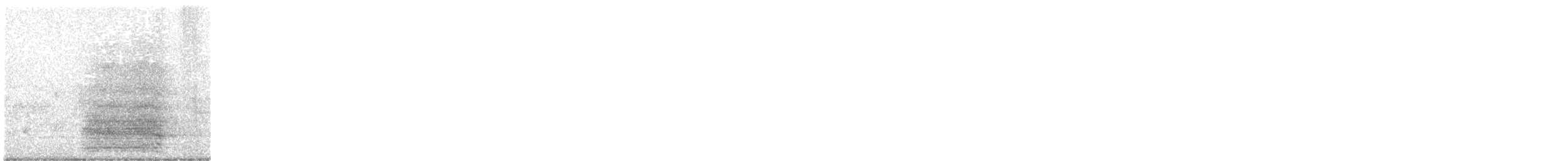 Cacatoès corella - ML643719336