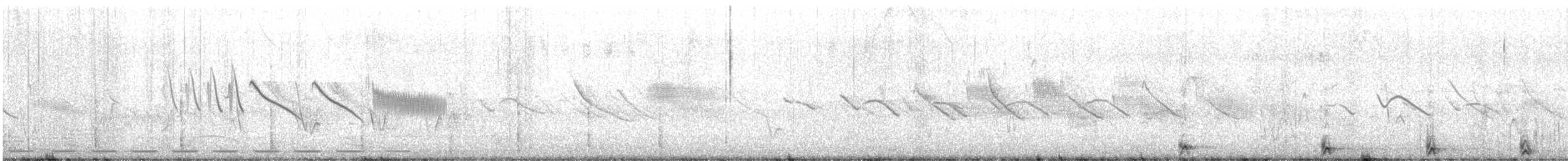 Moustached Turca - ML643719622