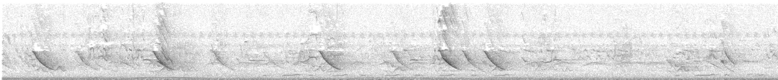 Australasian Figbird - ML643719718