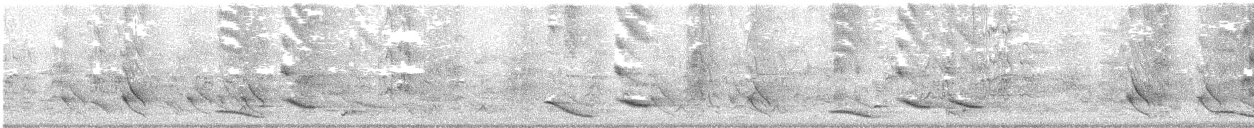 Australasian Figbird - ML643719719