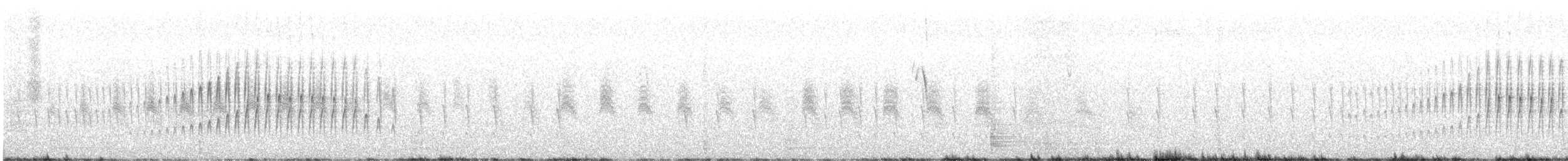 Stout-billed Cinclodes - ML643720251