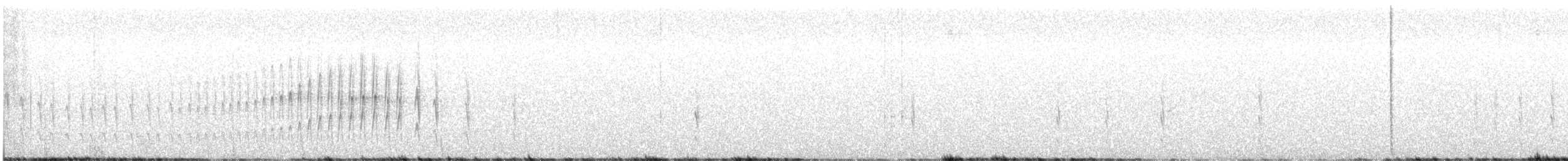 Stout-billed Cinclodes - ML643720257