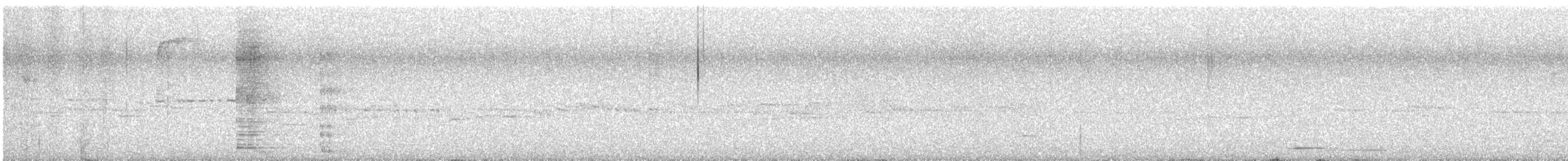Méliphage tui - ML643723680