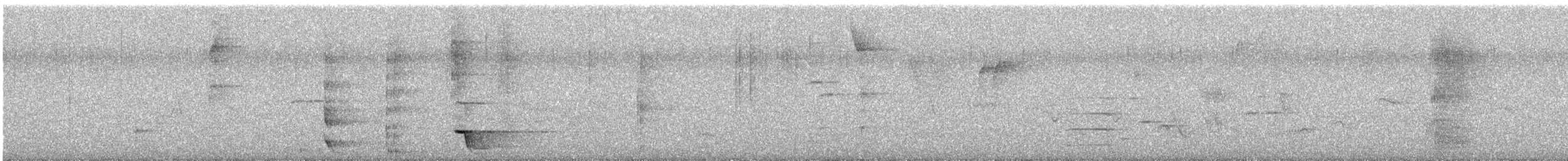Méliphage tui - ML643723696