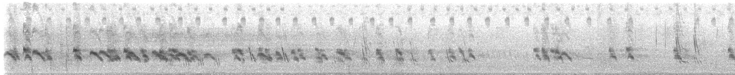 Hirondelle noire - ML643723846