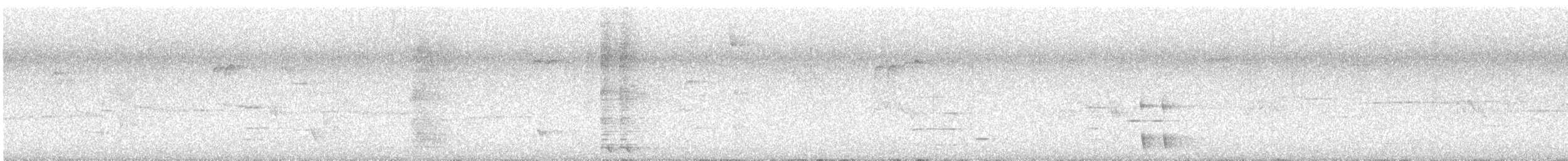 Méliphage tui - ML643724231