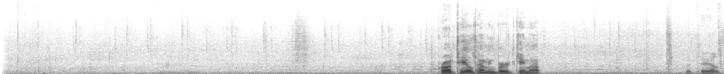 Broad-tailed Hummingbird - ML643725012