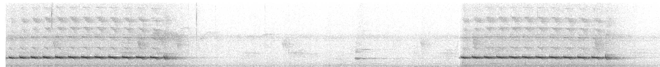 Batará Gigante - ML643725295