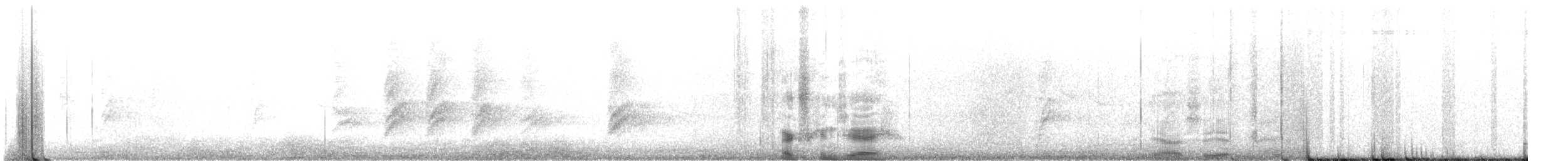 メキシコカケス - ML643725972