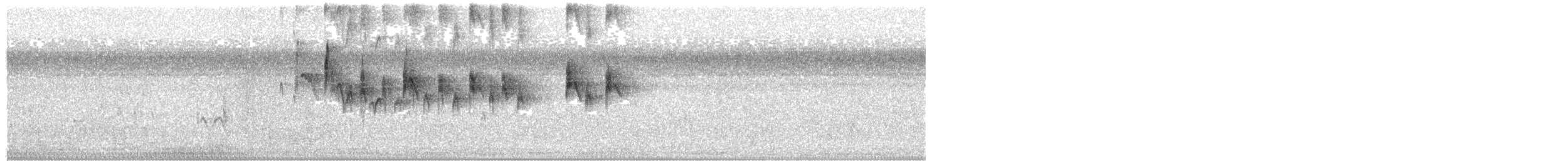 tyran obecný - ML643726051