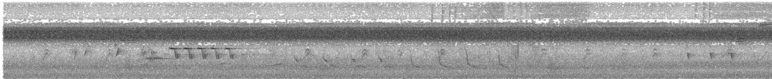 Song Sparrow - ML643726148