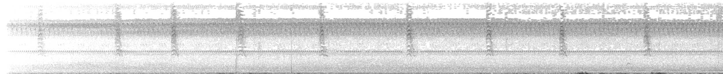 シロオビアメリカムシクイ - ML643726269