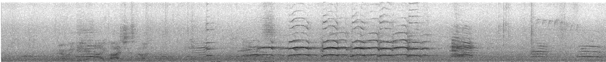 Glaucous-winged Gull - ML643726704