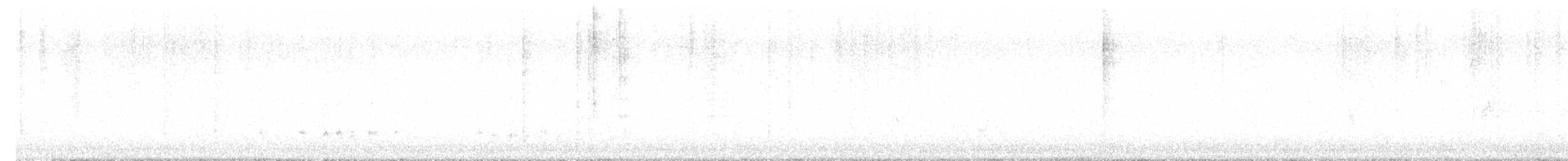 Broad-tailed Hummingbird - ML643726707