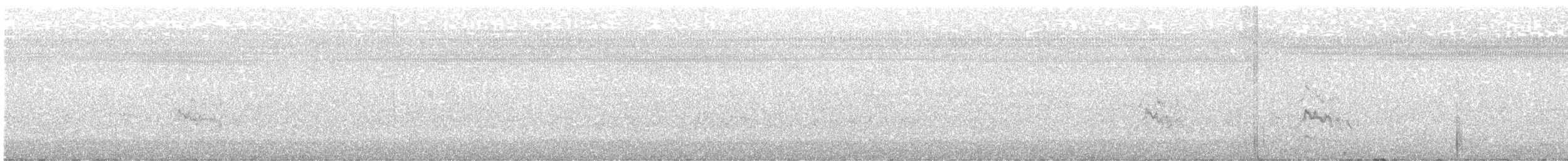 bird sp. - ML643727104