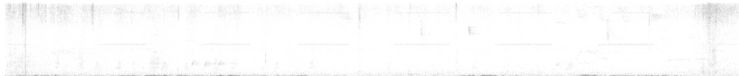 Whiskered Wren - ML643727748