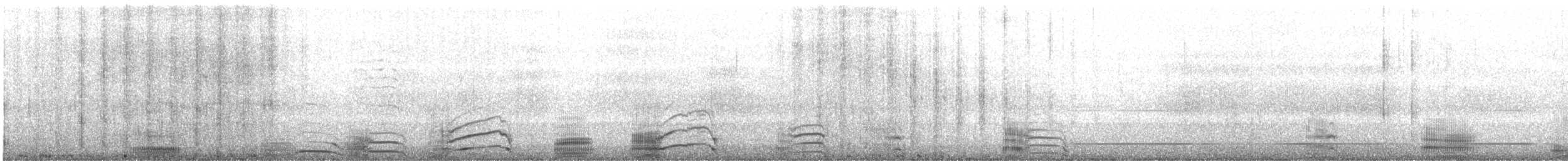 Imperial Cormorant (Imperial) - ML643728309