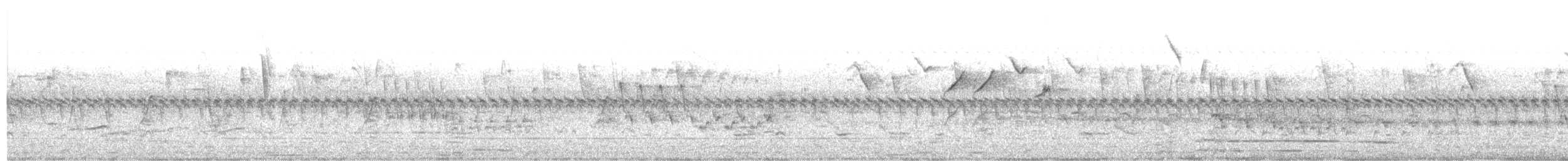 ハイガシラソライロフウキンチョウ - ML643728539