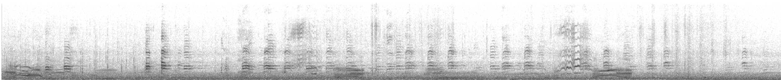 Imperial Cormorant (Imperial) - ML643728553