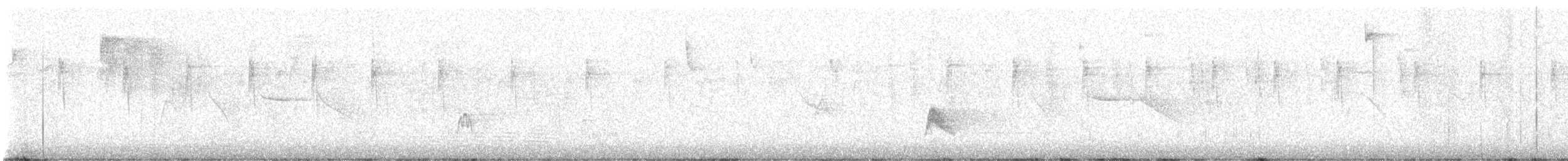 White-crested Elaenia - ML643728773