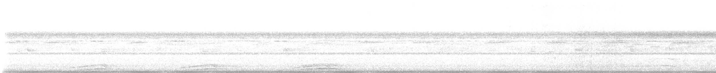 Black-and-white Owl - ML643729237