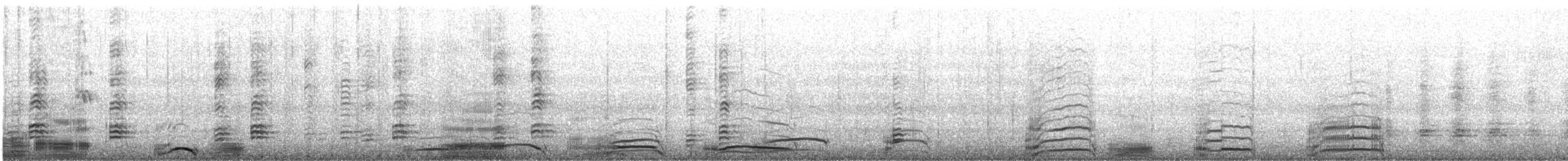 Imperial Cormorant (Imperial) - ML643729544