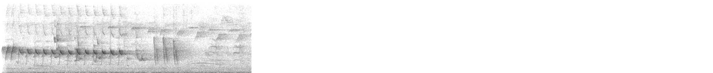 White-winged Triller - ML643729941