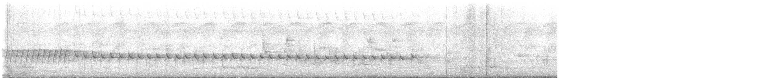 White-winged Triller - ML643729942