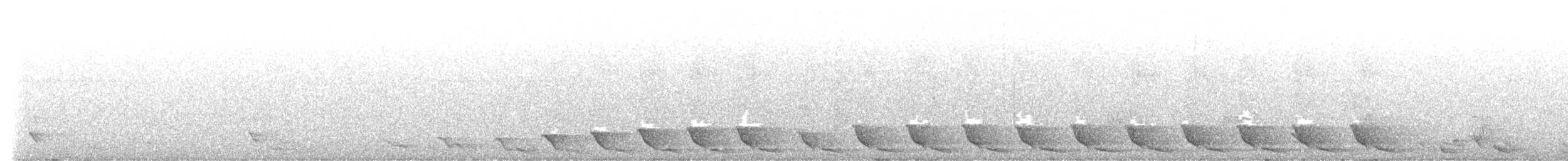 Méliphage de Viti Levu - ML643731048