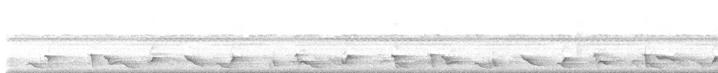 Western Wattled-Honeyeater - ML643731053