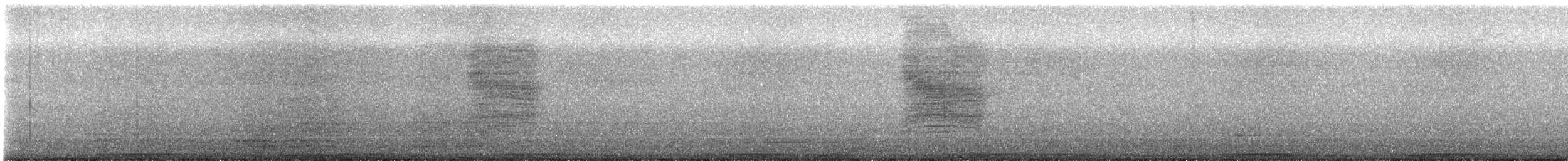 Miaulari grisa - ML643731064