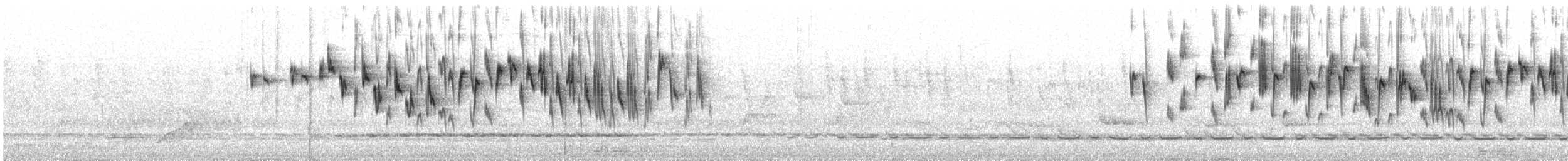 Splendid Fairywren - ML643731332