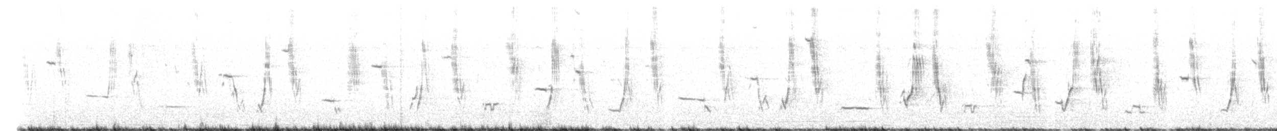 コシアカヒバリモドキ - ML643732021