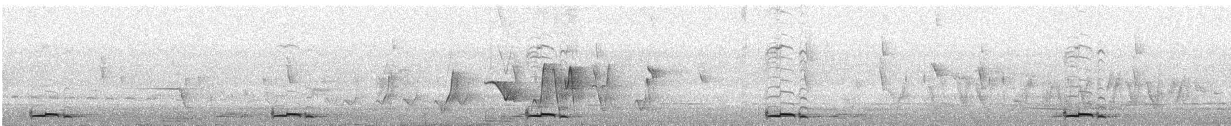 Friedenstäubchen - ML643732365