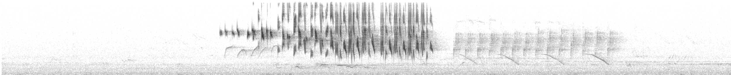 Splendid Fairywren - ML643732757