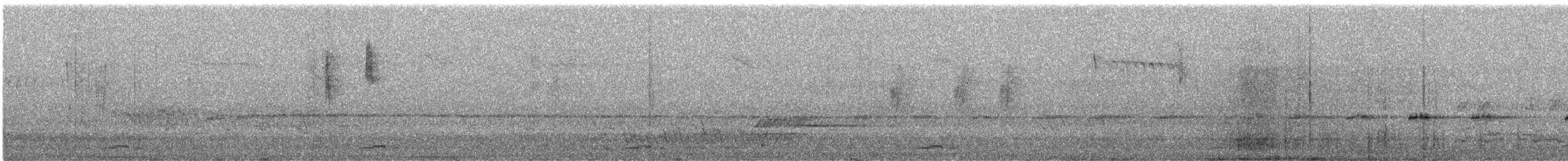 White-browed Treecreeper - ML643732759