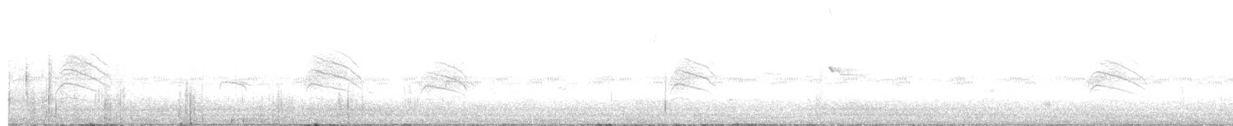 California Gnatcatcher - ML643732801
