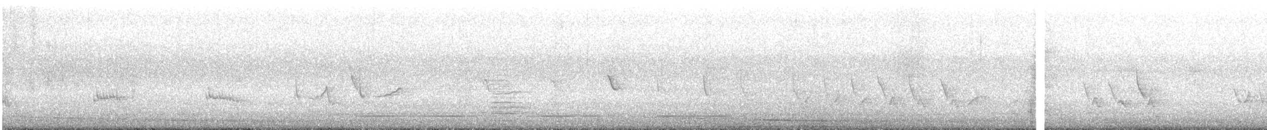 Northern Mockingbird - ML643732923