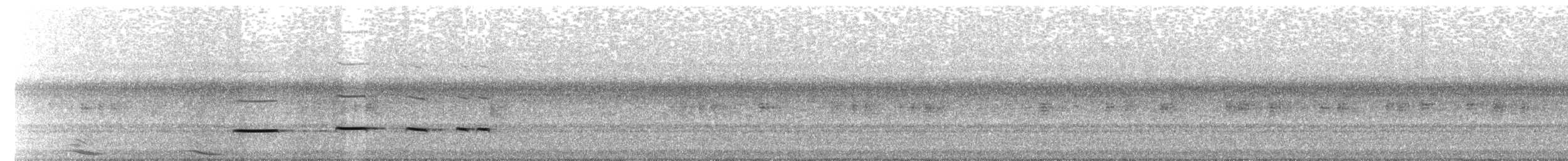 Tavus Guguğu - ML643733139