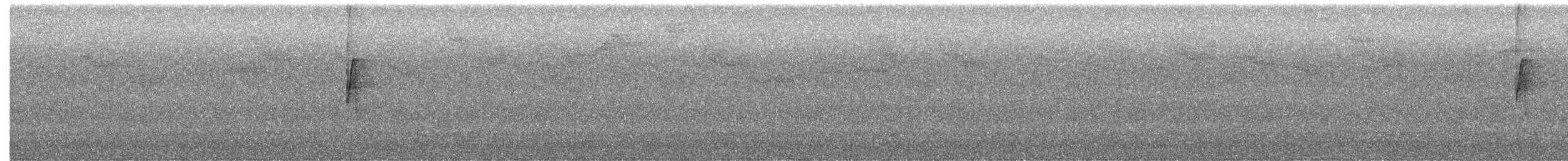 Middle American Leaftosser - ML643734503