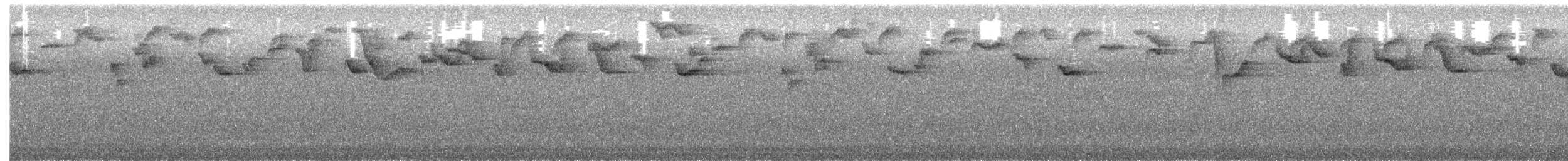 Sooty-faced Finch - ML643734547