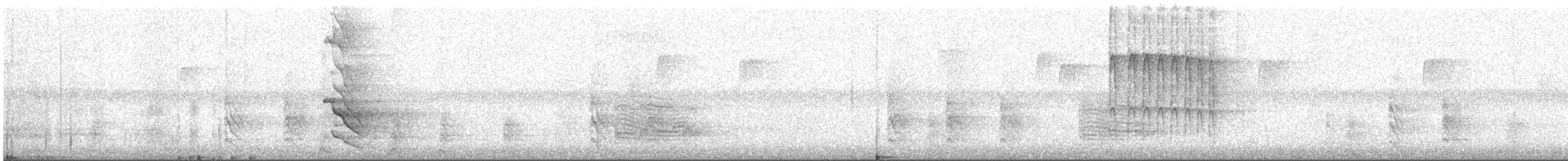 Northern Flicker - ML643736007