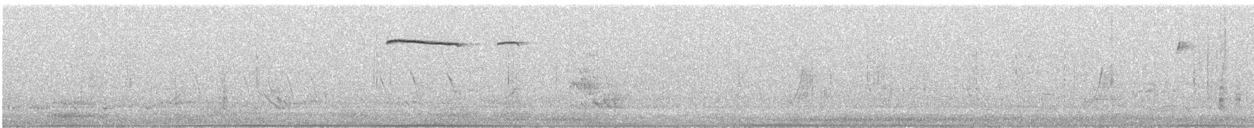 Chestnut Quail-thrush - ML643736475