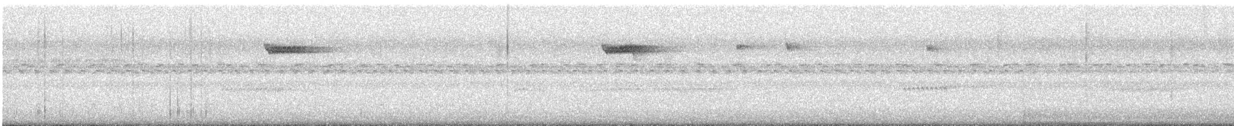 Brown Creeper - ML643736798