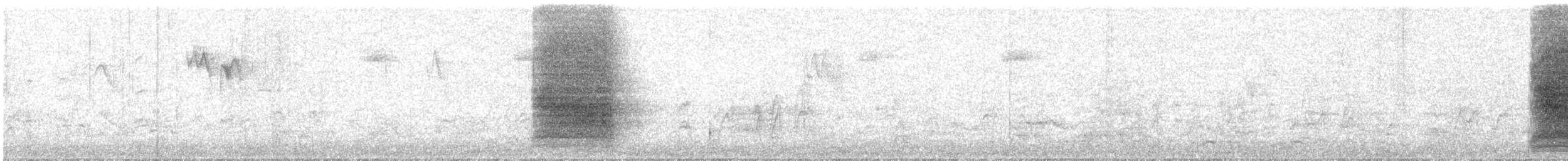 American Robin - ML643737756